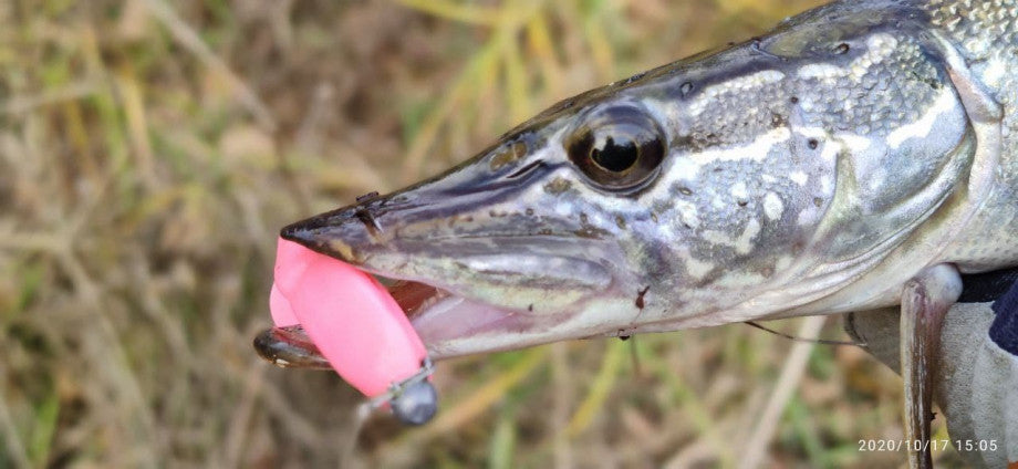 Intech Owner Hook Jig Heads 3/0 – Round Ball (4-Pack)