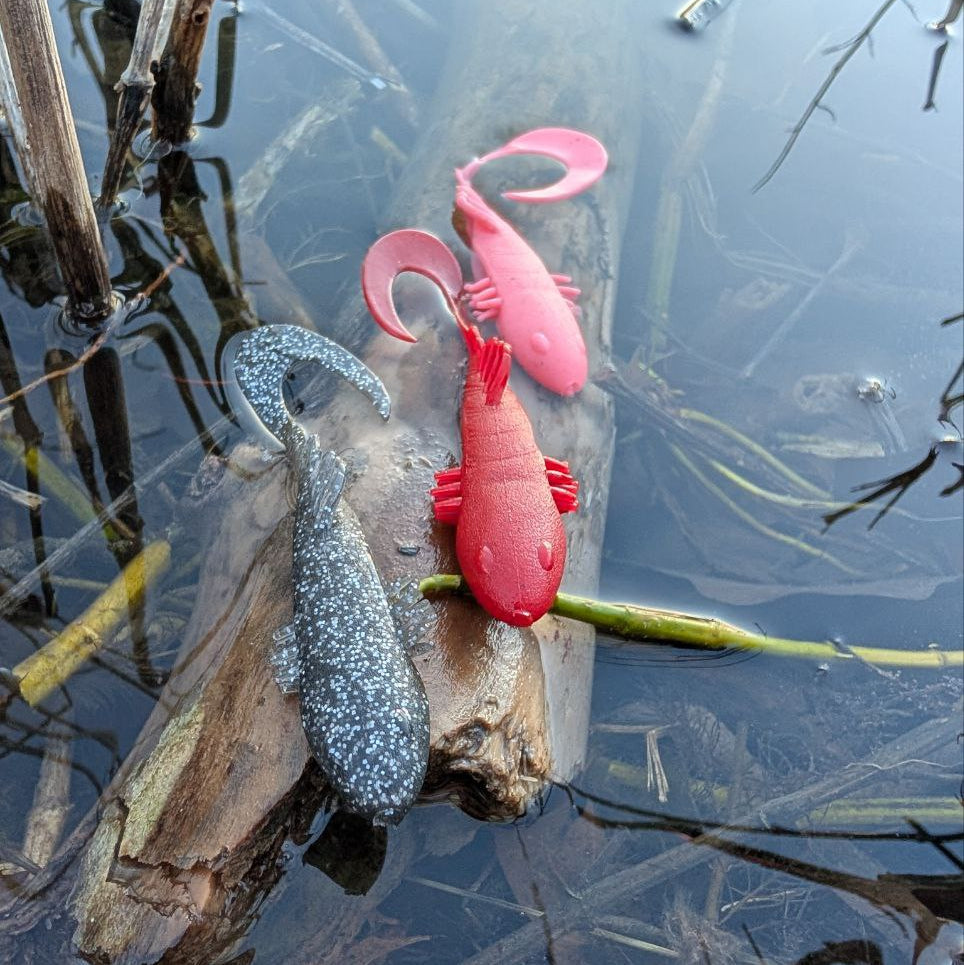 Two fishing lures, one pink and one red, on a branch over water with reeds.