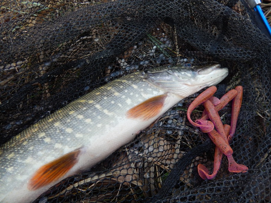 Intech Long Heel 3" Paddle Tail Swimbait (8 ct)