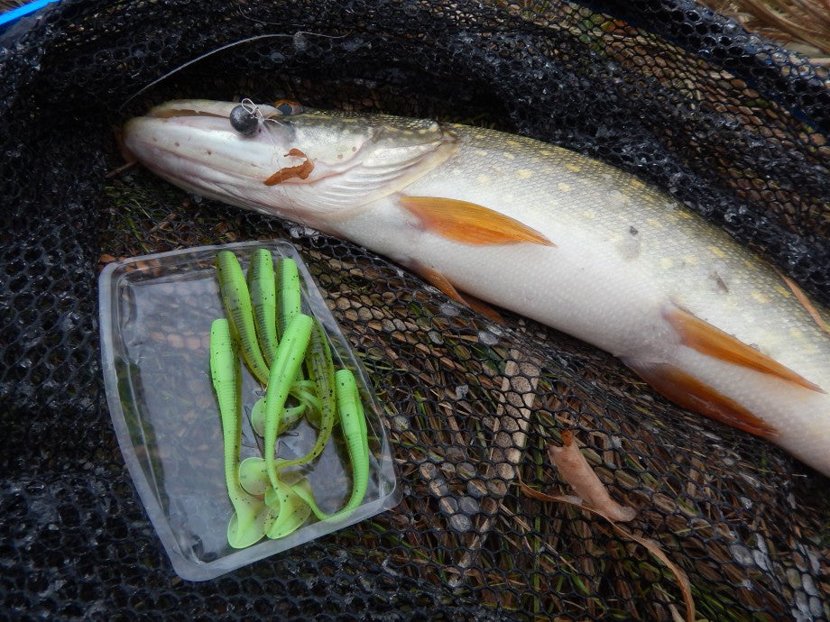 Intech Long Heel 4" Paddle Tail Swimbait (6 ct)