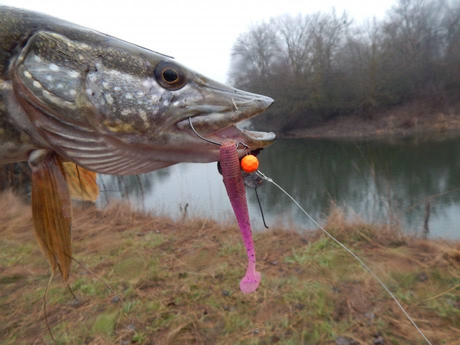 Intech Long Heel 4" Paddle Tail Swimbait (6 ct)