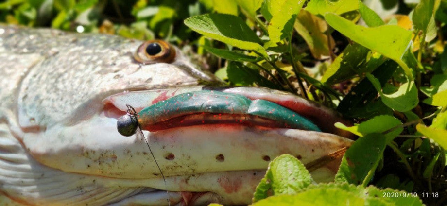 Intech Owner Hook Jig Heads 3/0 – Round Ball (4-Pack)