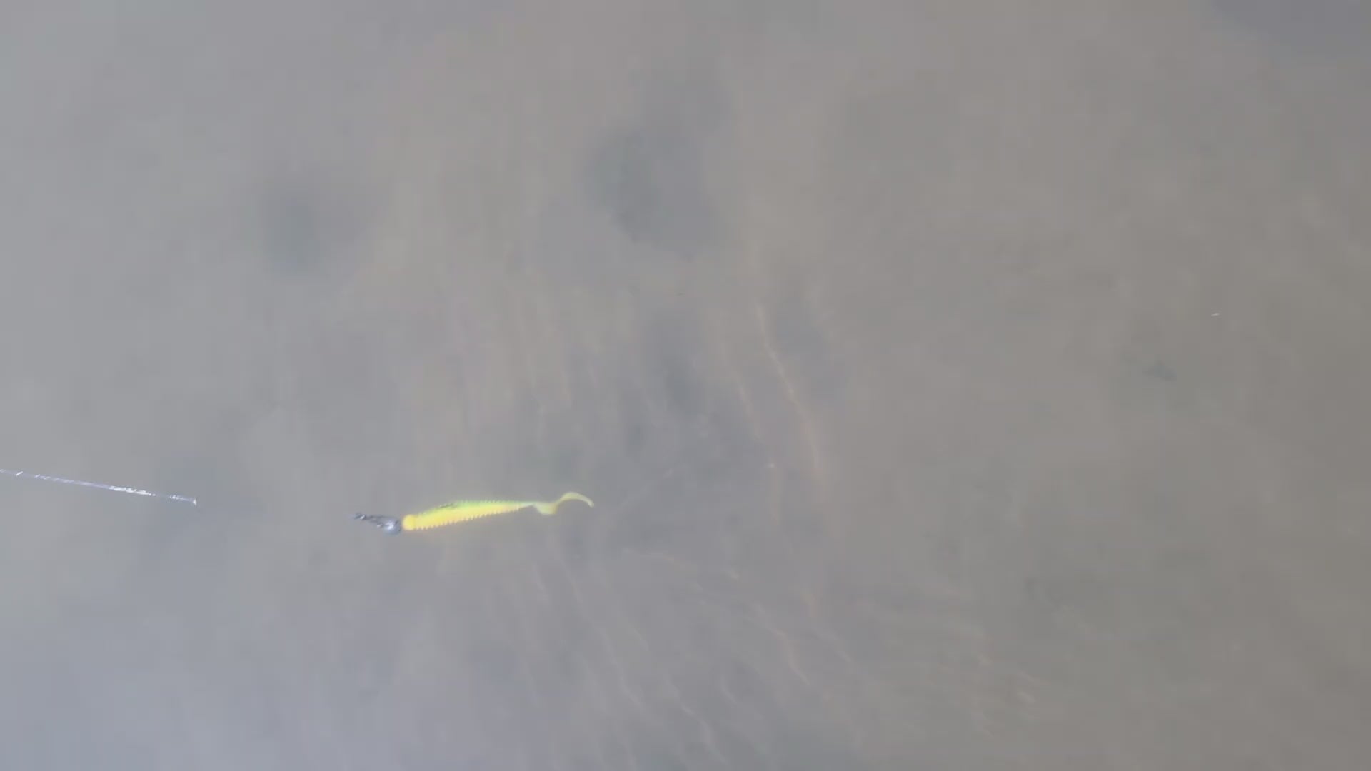 TurboRib 3-inch ribbed twister grub soft plastic lure video showing curly-tail action and ribbed body.
